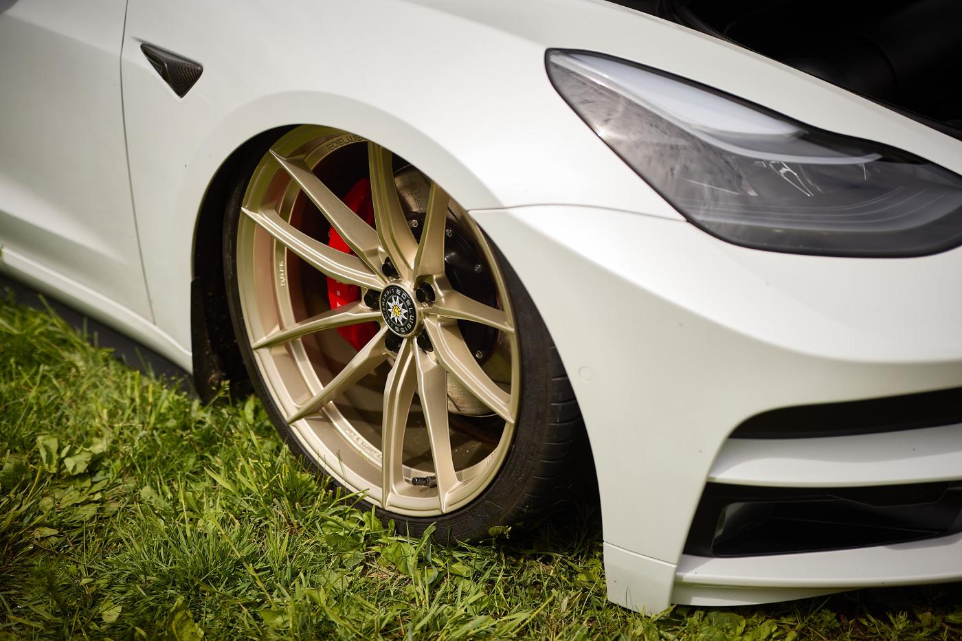 Zeiler @ Telsa Takeover 2026 Tuning Area